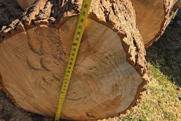 Affordable landscaping services