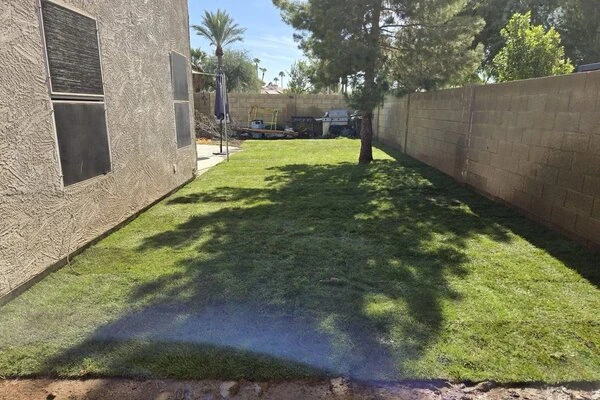 Landscape Installation