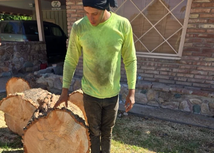 Professional landscaping company in Phoenix, AZ Professional landscaping company in Phoenix, AZ