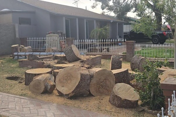 Professional landscaping services Professional landscaping services