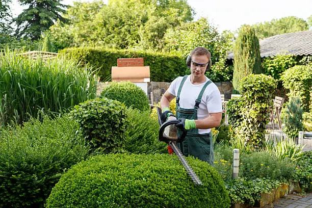 Reliable landscaping services Reliable landscaping services