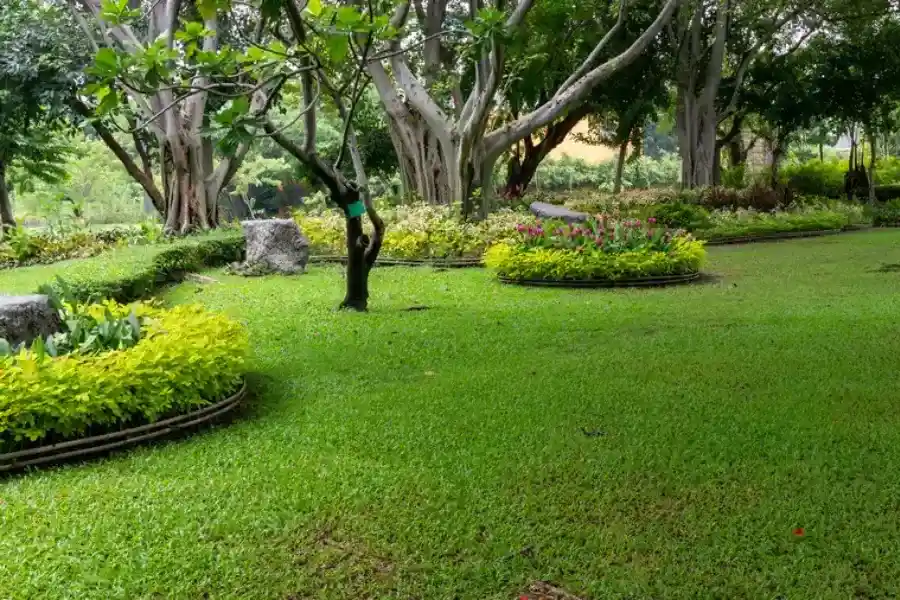 Quality Landscape Maintenance Phoenix, AZ Quality Landscape Maintenance Phoenix, AZ